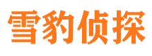 井研市侦探调查公司